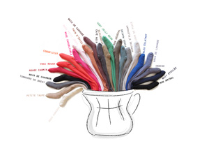 collants collégien vase-collants